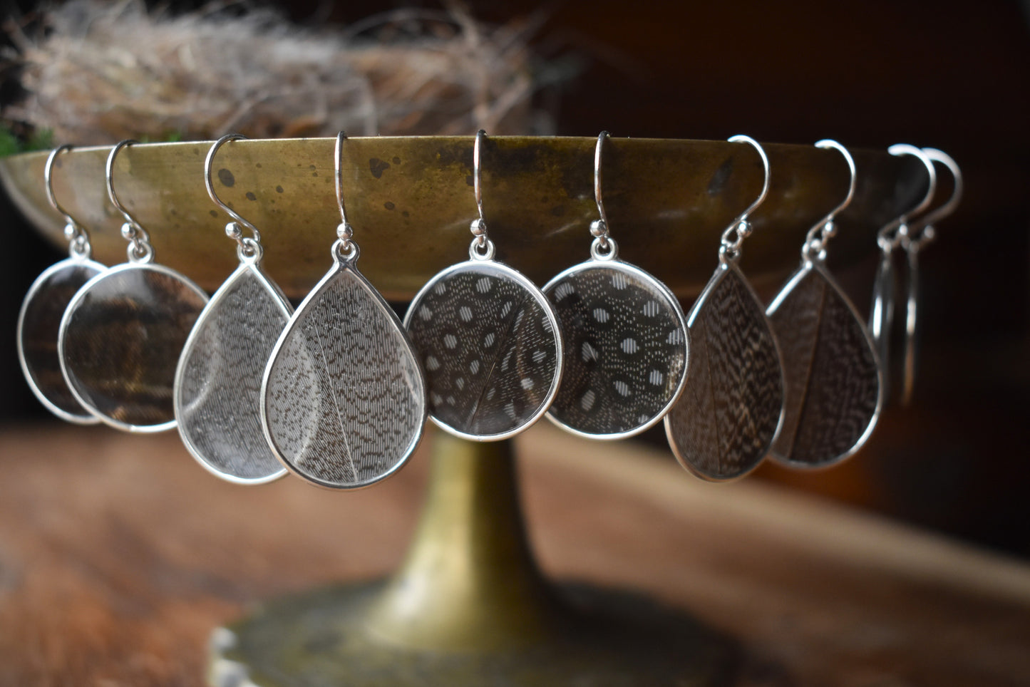 Preserved Feather Earrings