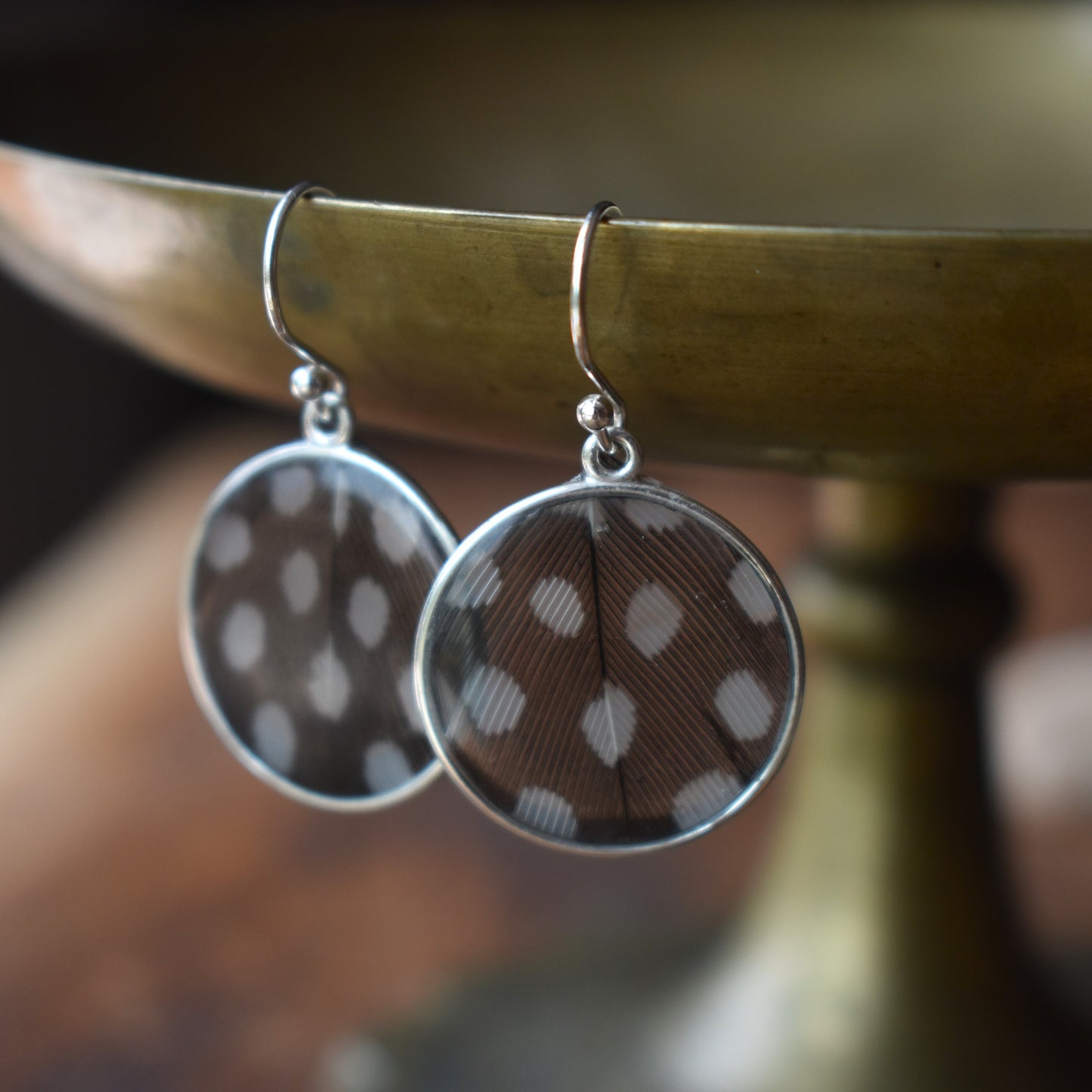 Preserved Feather Earrings