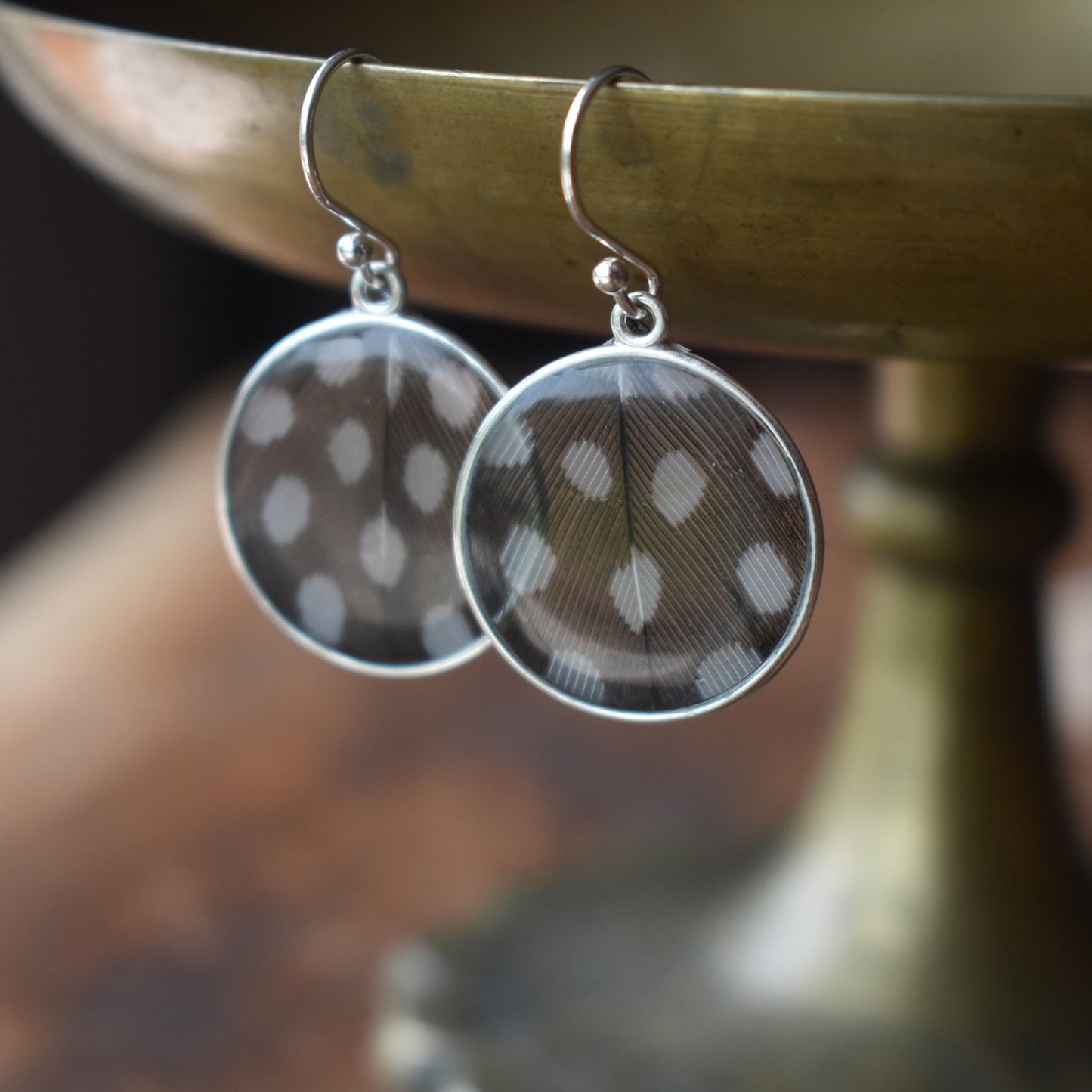 Preserved Feather Earrings