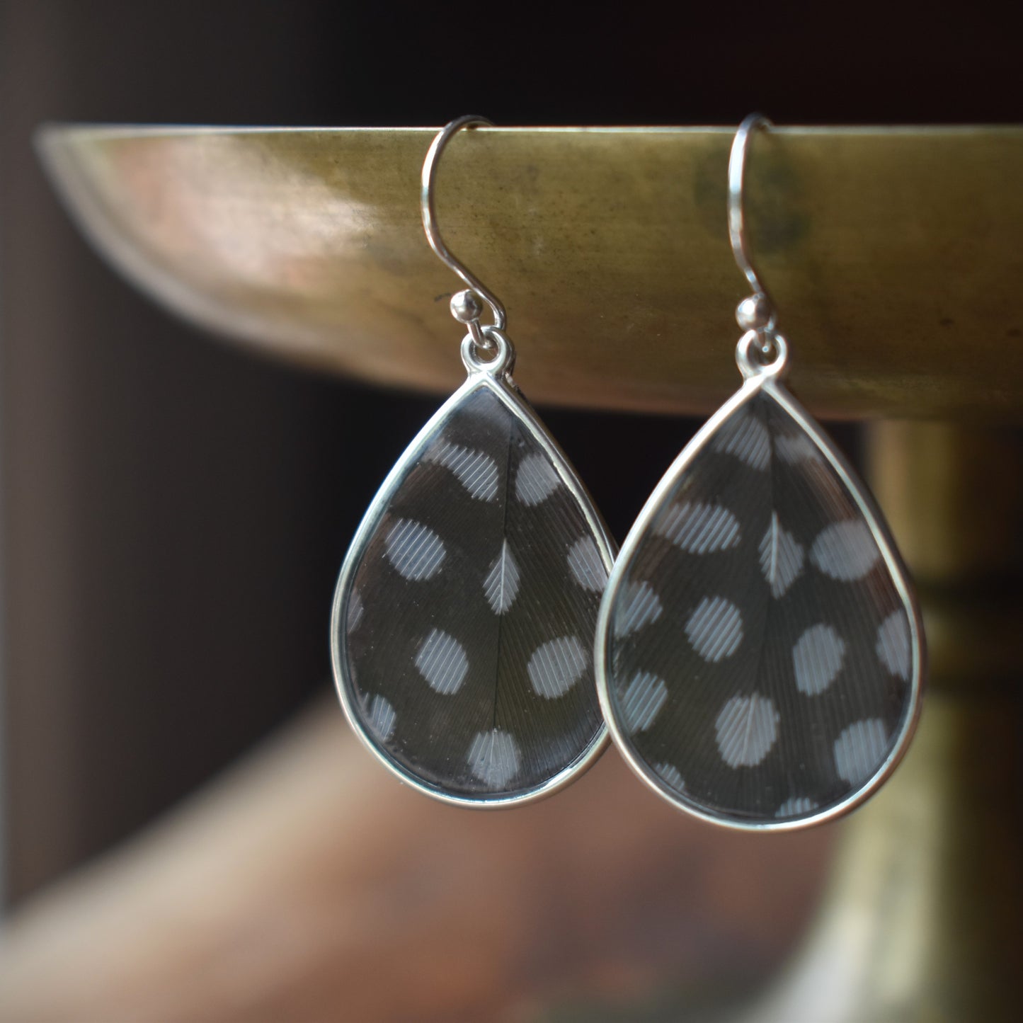 Preserved Feather Earrings