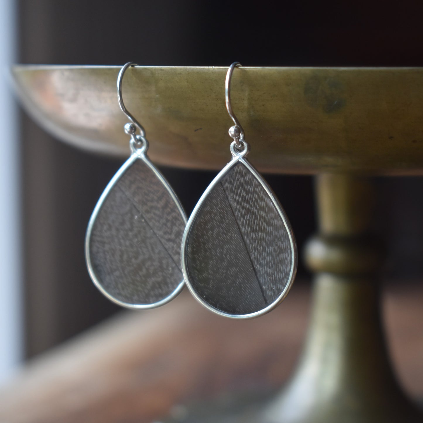 Preserved Feather Earrings