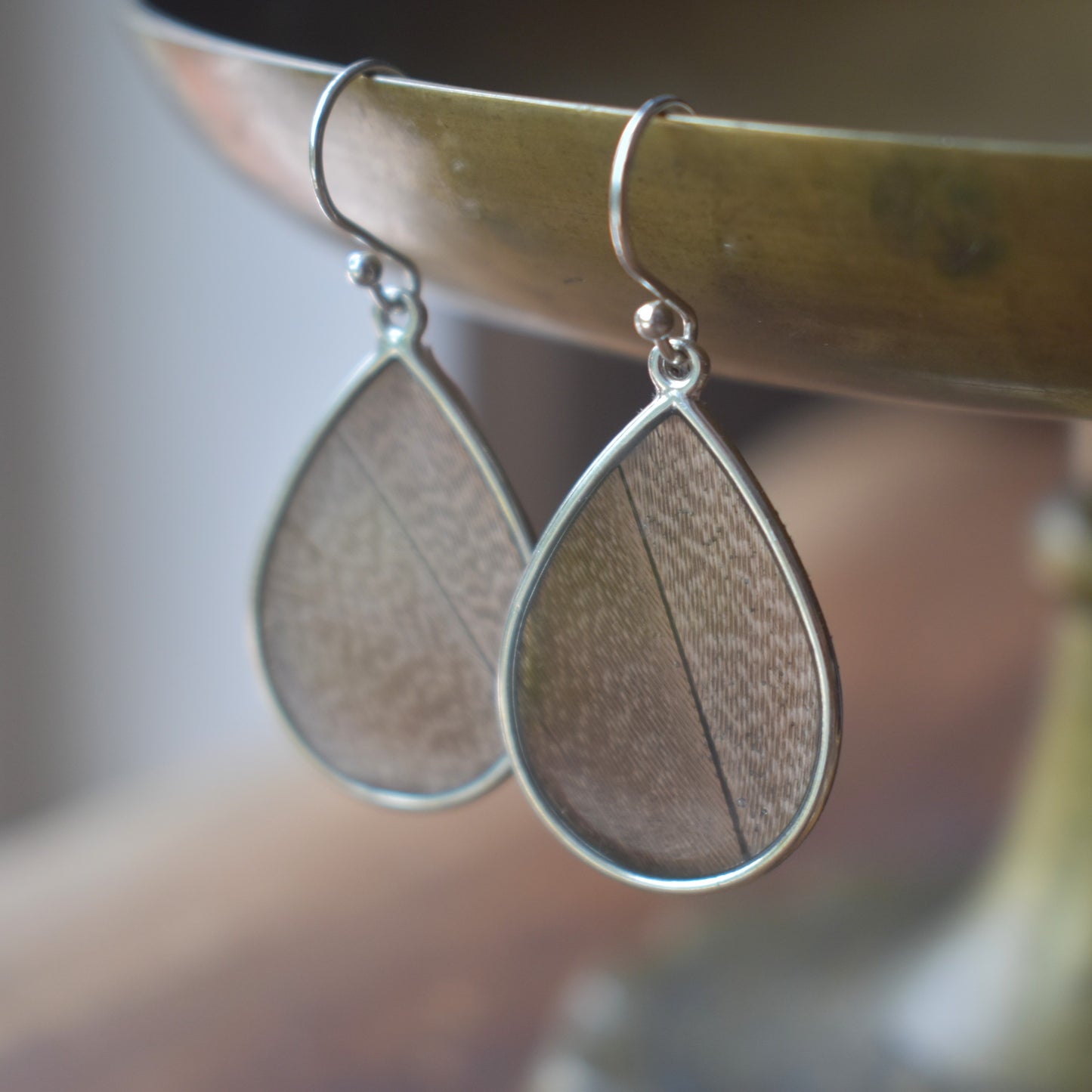 Preserved Feather Earrings