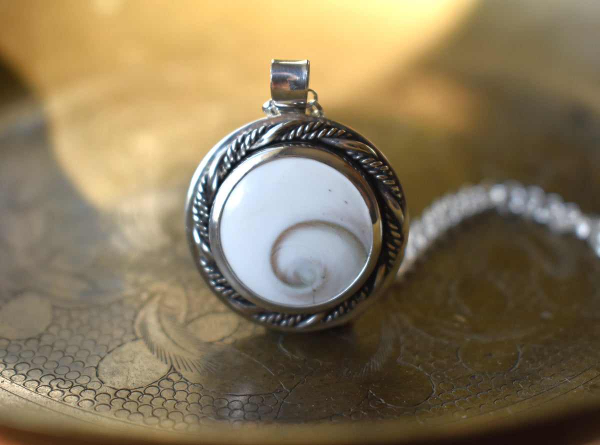 Spiral Shiva Shell Necklace