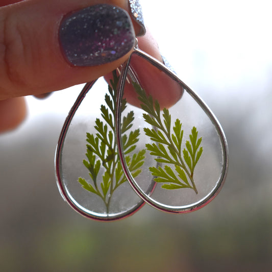 Botanical Teardrops Earrings - Fern