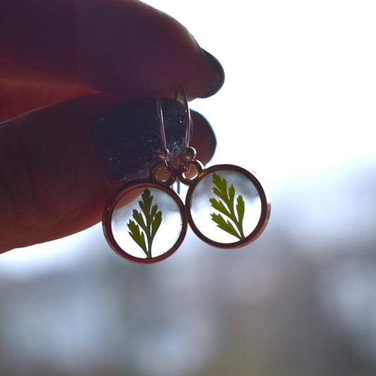 Botanical Round Earrings - fern green - gold tone