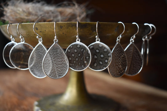 Preserved Feather Earrings